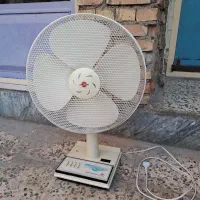 پنکه زمینی