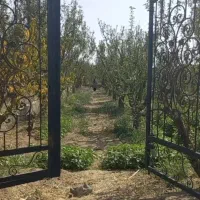 فروش باغچه ۵۰۰ متری تنکمان باغ بهشت