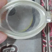 عینک شنامفت