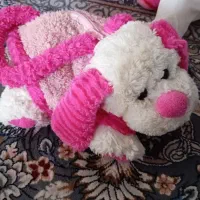 عروسک|اسباببازی بچه|مریوان, |دیوار
