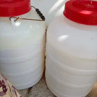 دوغ چن