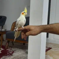 سلام تشکر از بر نامه دیوار