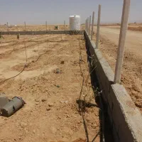 اجرای آبیاری قطره ای