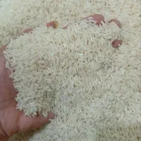 برنج دمسیاه پنج ستاره
