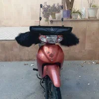 طرح ویو کویر