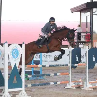 باشگاه سوارکاری نواسپ