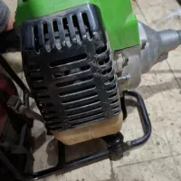 علف زن ایرانی جنس خوب