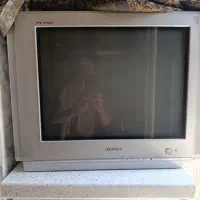 تلوزیون