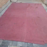 موکت|موکت|اصفهان, ملاصدرا|دیوار