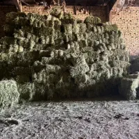 یونجه انباری