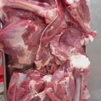 فروش گوشت بوقلمون عمده تازه کشتار روز
