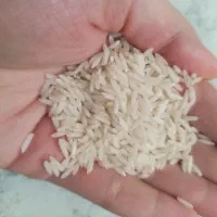 برنج هاشمی