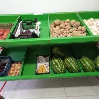 پالت میوه فروشی