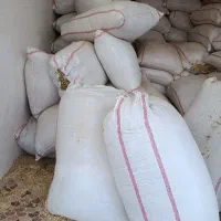 کاه لوبیا به قیمت کاه گندم