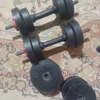 دمبل  باشگاه