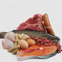 پخش عمده مرغ و قطعه بندی با کمترین قیمت