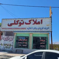 زمین فروشی نخلستان