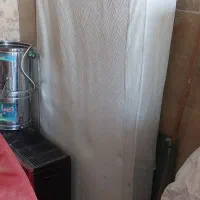 تشک نوجوان رویا