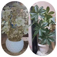 گل های دکوری و مصنوعی