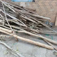 چوبب|صنایع دستی و سایر لوازم تزئینی|شوشتر, |دیوار