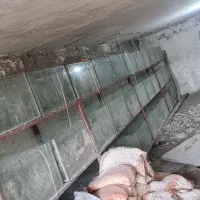 تعداد زیادی اکواریوم استفاده نشده ینی ساختیم مونده
