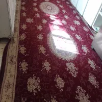 فرش|فرش|رفسنجان, |دیوار