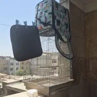 قفس پرنده به همراه کیف پرنده برای مسافرت