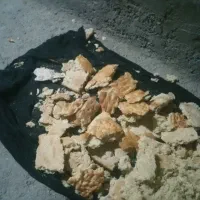 نان خشک گوسفندی