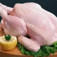 بوقلمون گوشتی