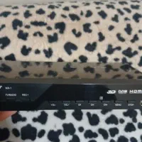 DV3t