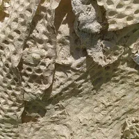نون خشکه