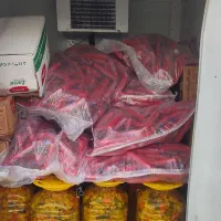پراید یخچالدار مدل ۱۴۰۱