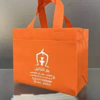بگ اسپان
