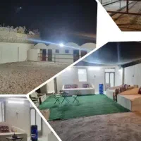پانسیون اسب