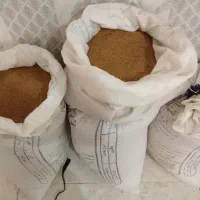 بذر ینجه محلی تضمین