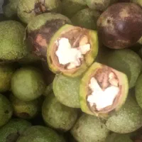 گردو درجه 1