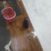 کاغذ دیواری کفپوش نقاشی