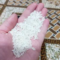 هاشمی سرلاشه