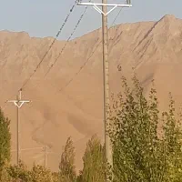 زمین-کشاورزی
