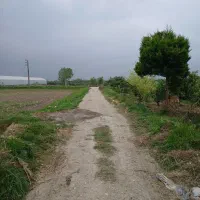 فروش ۲۳۰متر زمین دور دیوار شده/
