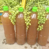 ابقوره