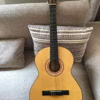 گیتار پارسی m2