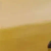 تاکسی پراید ۸۵درحد۹۰