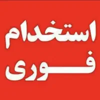 وکیوم کار ، برشکار ، کمک برشکار MDF