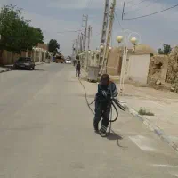 زمین