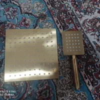 سردوش   معاوظه با کبوتر طوقی