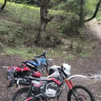 تریل دایچی 1404