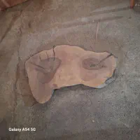 چوب گردو برش خورده