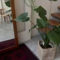 خوابگاه دخترانه کمترین جمعیت(اتاق یکنفره ودونفره)