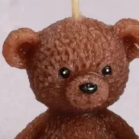 شمع خرس و گل بابونه در رنگ دلخواه